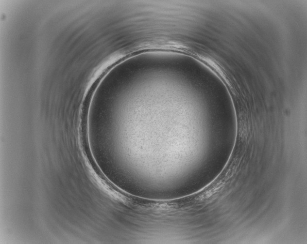 X0000059821139200510241349