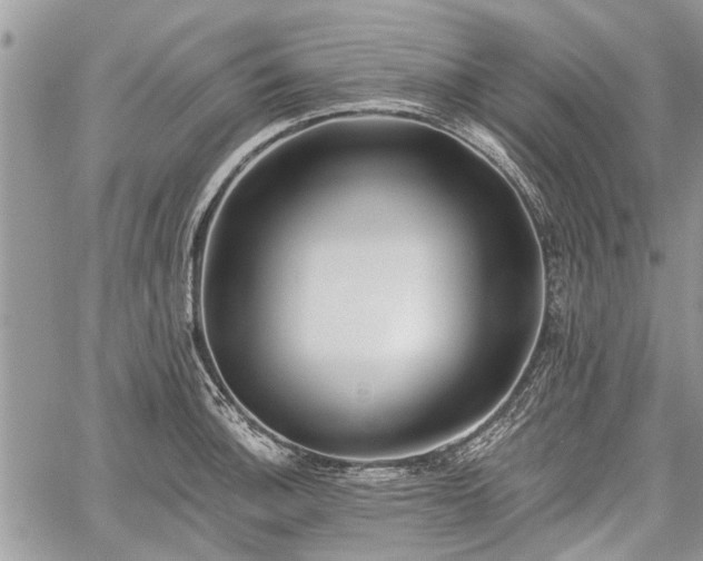 X0000059821140200510241349