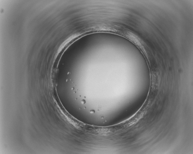 X0000059821141200510241349