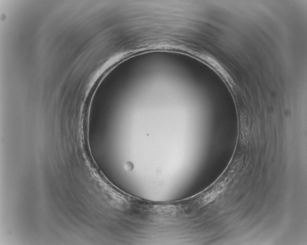 X0000059821142200510241349