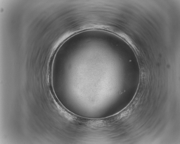 X0000059821143200510241349