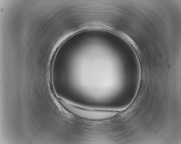 X0000059821144200510241349