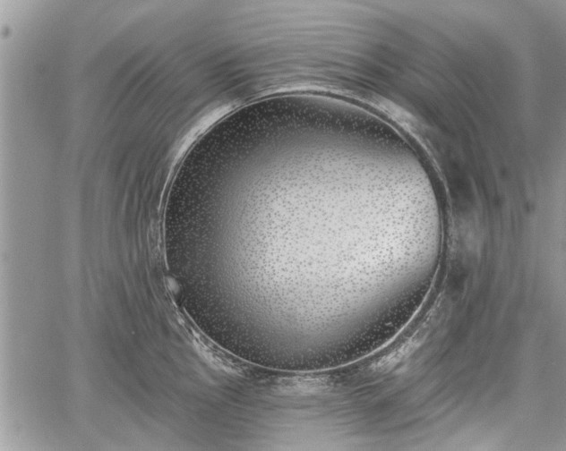 X0000059821145200510241349