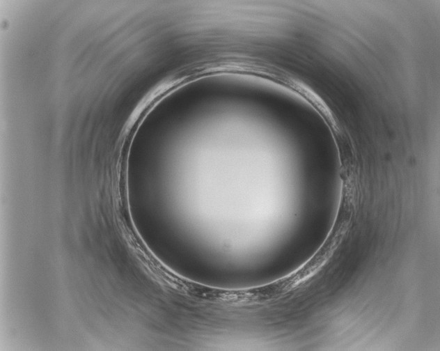 X0000059821146200510241349