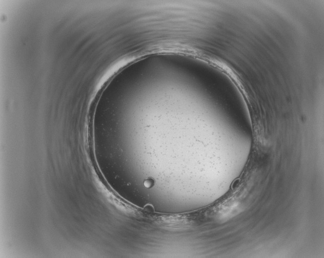 X0000059821147200510241349