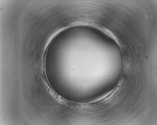 X0000059821148200510241349