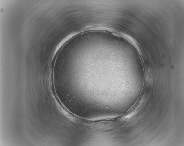 X0000059821149200510241349