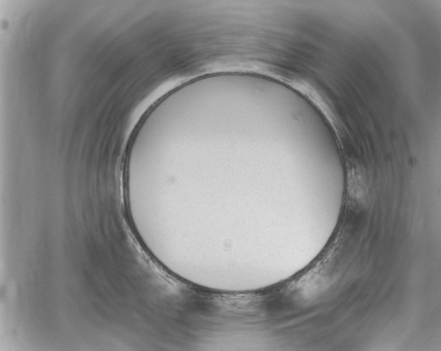 X0000059821150200510241349