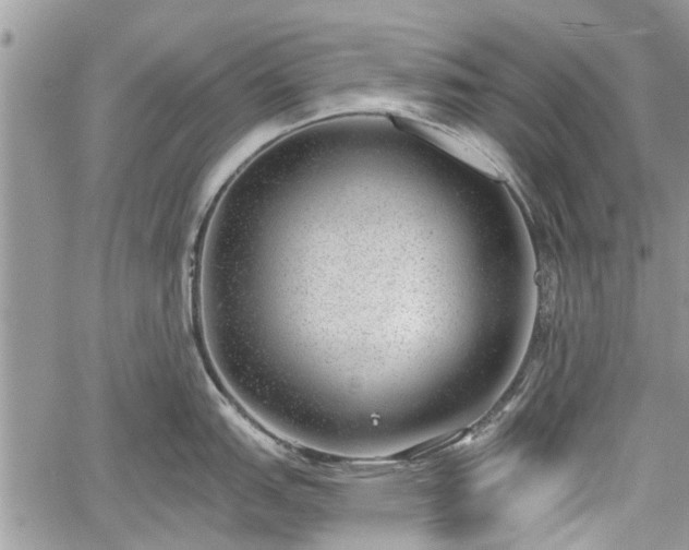 X0000059821151200510241349