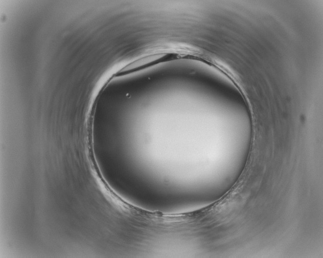 X0000059821152200510241349