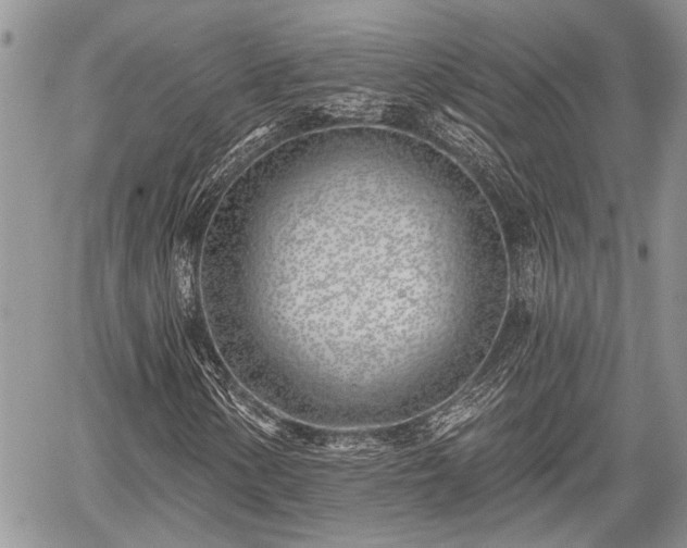 X0000059821154200510241348