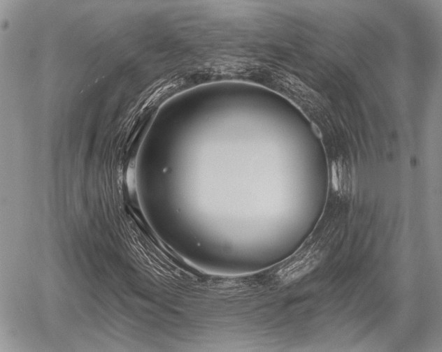 X0000059821155200510241348