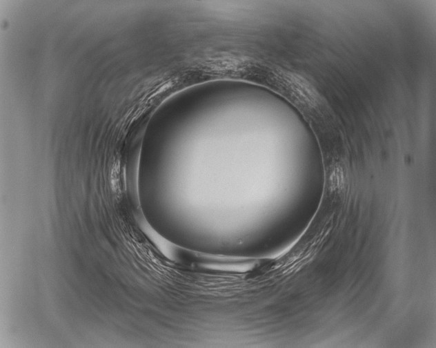 X0000059821156200510241348