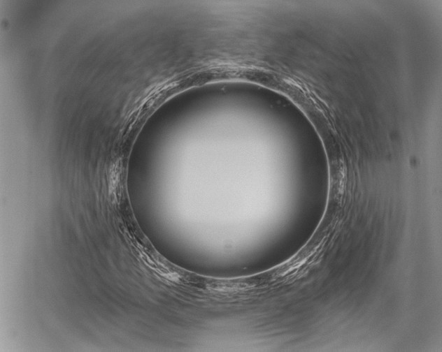 X0000059821157200510241348