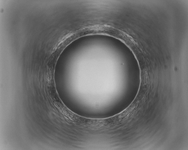 X0000059821158200510241348