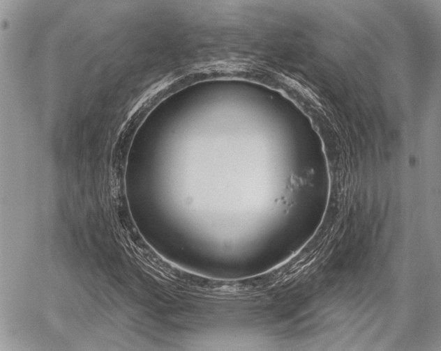 X0000059821160200510241348