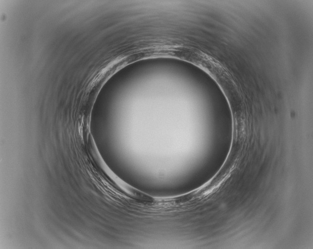 X0000059821161200510241348