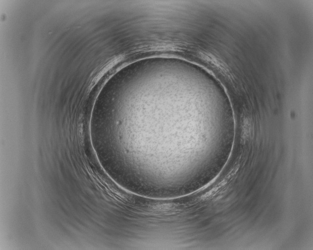 X0000059821162200510241348