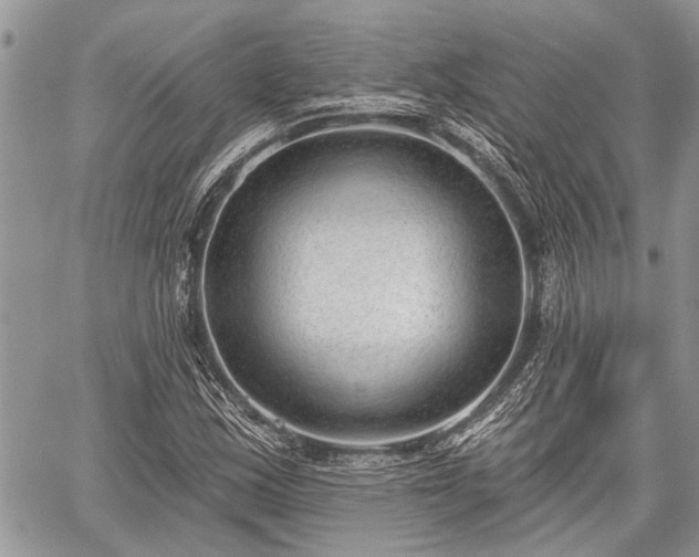 X0000059821163200510241348