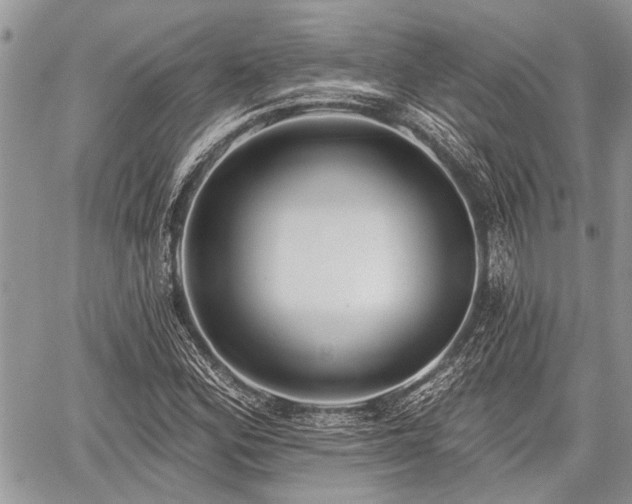 X0000059821164200510241348