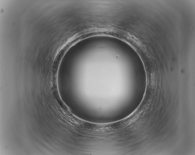 X0000059821165200510241348