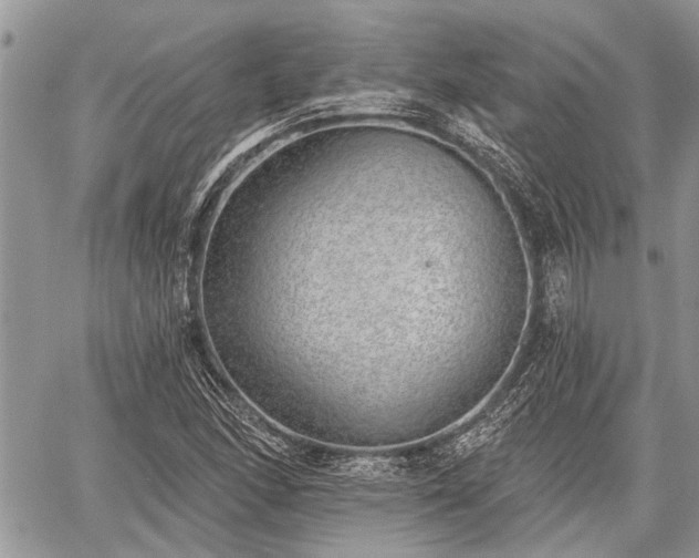 X0000059821166200510241348