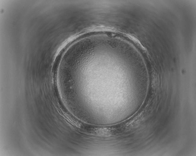 X0000059821167200510241348