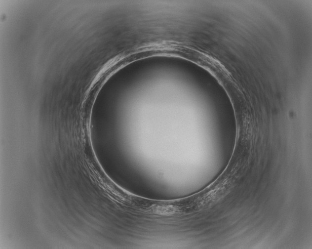 X0000059821168200510241348