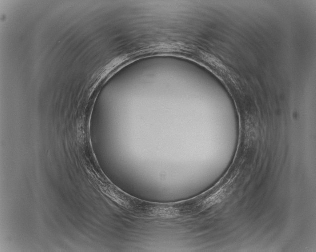 X0000059821170200510241348