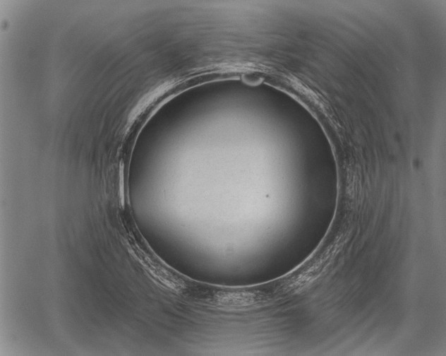 X0000059821171200510241348