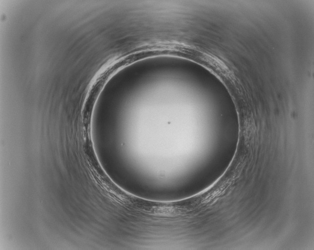 X0000059821172200510241348