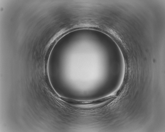 X0000059821173200510241348