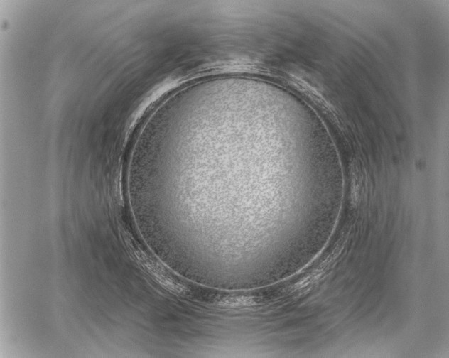 X0000059821174200510241348