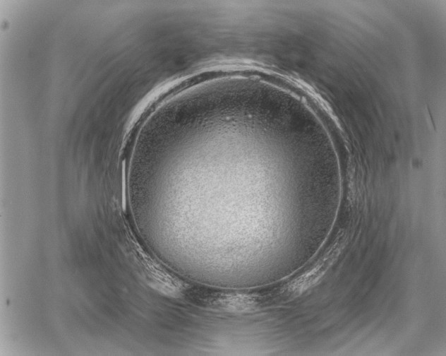 X0000059821175200510241348