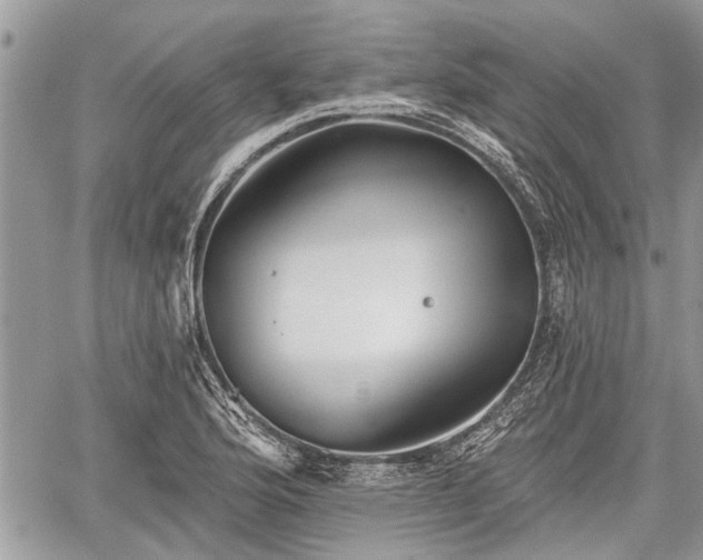 X0000059821176200510241348