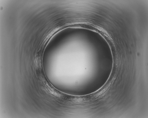 X0000059821177200510241348