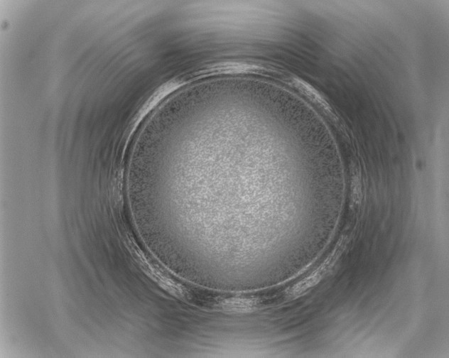 X0000059821178200510241348