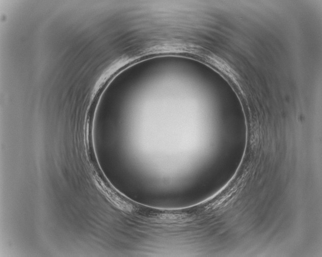 X0000059821179200510241348