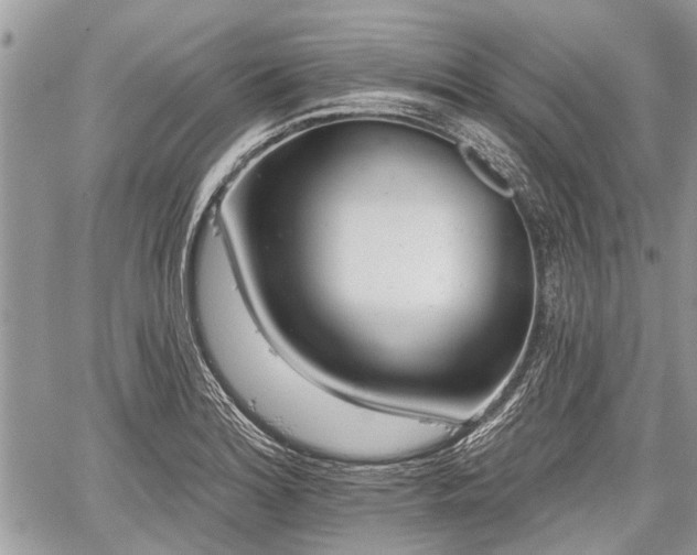 X0000059821180200510241348