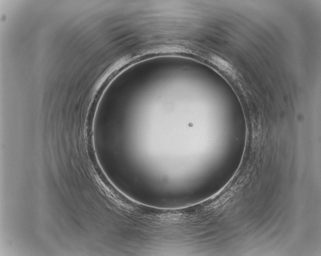 X0000059821181200510241348