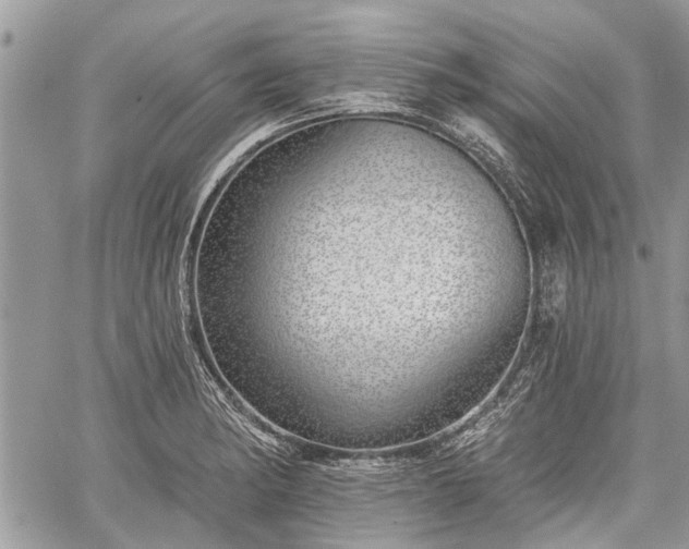 X0000059821182200510241348