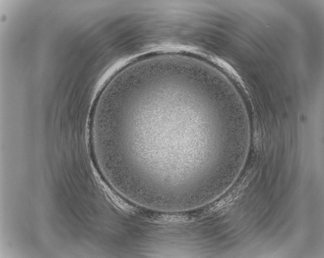 X0000059821183200510241348