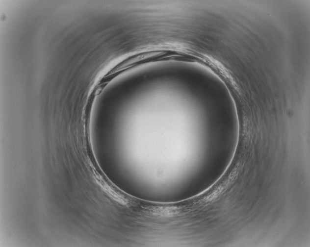 X0000059821184200510241348