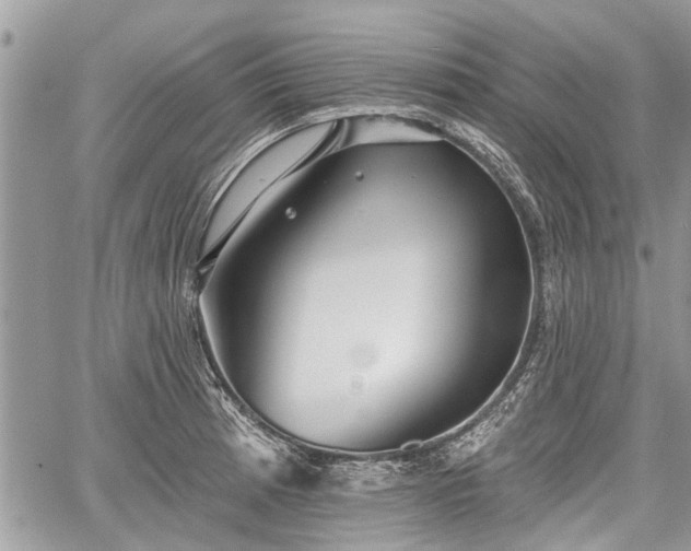 X0000059821185200510241348