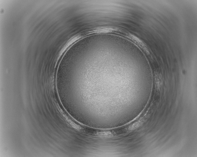 X0000059821186200510241348