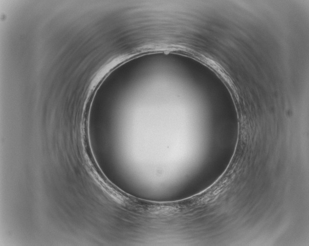 X0000059821187200510241348