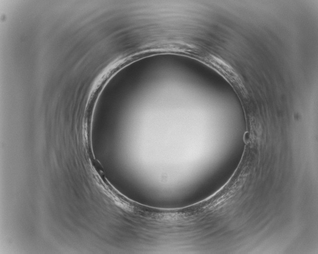 X0000059821188200510241348