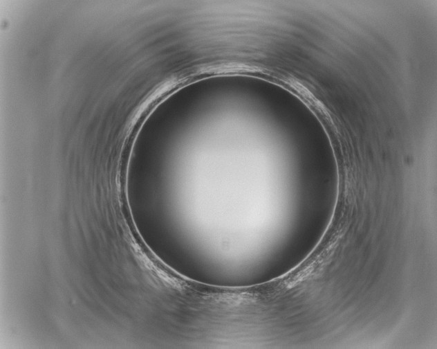 X0000059821189200510241348