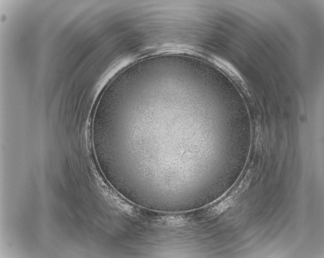 X0000059821190200510241348