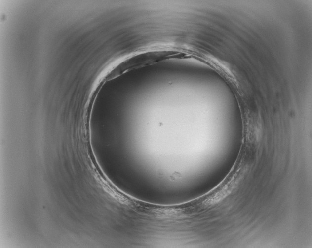 X0000059821192200510241348